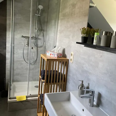 Friesenblick Апартаменты Райхенбах-им-Фогтланд