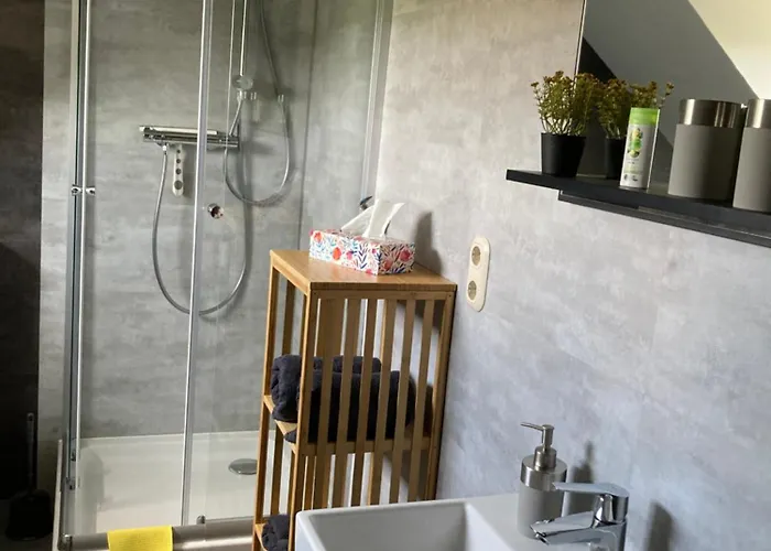 Friesenblick شقة رايشنباخ إم فوغتلاند